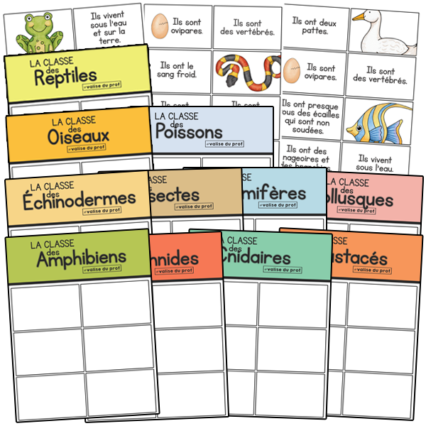Activit sur la classification des animaux