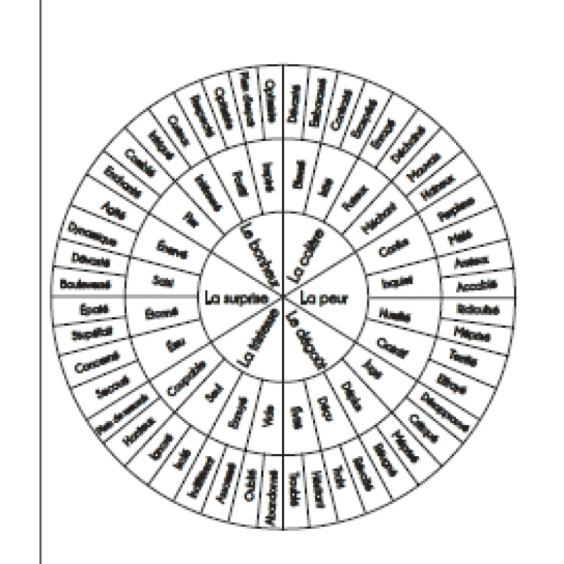 La roue des émotions (à construire) – Creadoc For School – Un outil et des  ressources pour les enseignants et les élèves du primaire