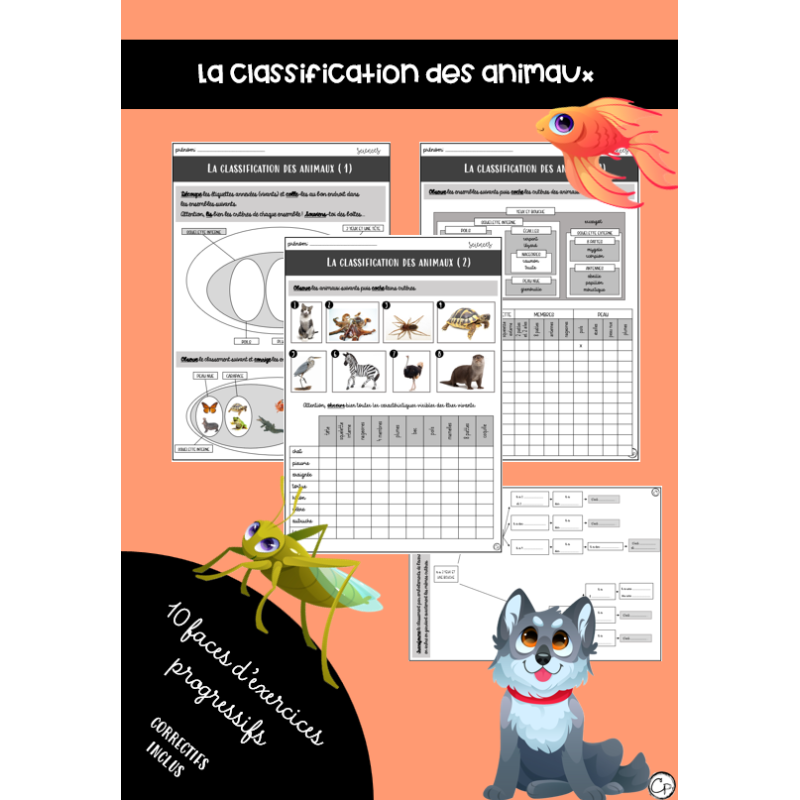 La classification des animaux exercices